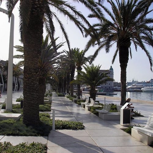 SPLIT